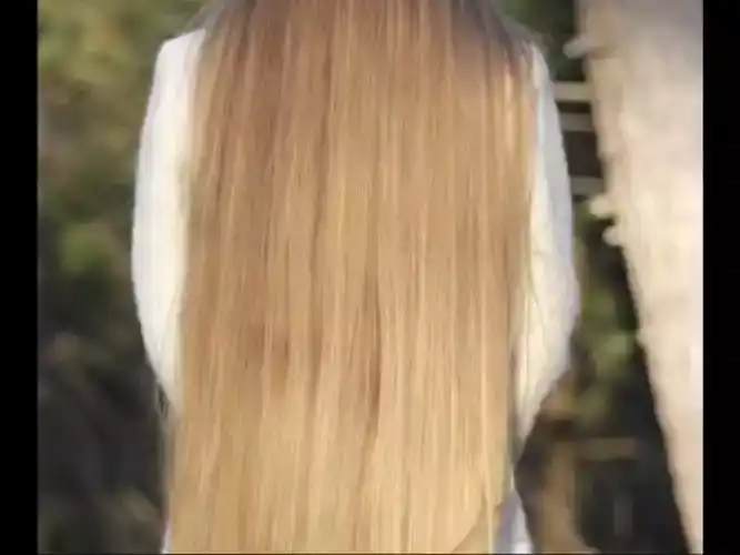 郑晨曦